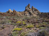 Blumenpolster unter den Roques Blancos - Roques de Garcia